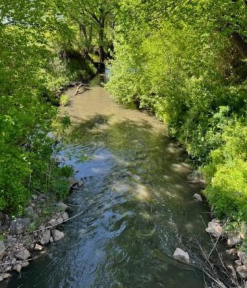 Nine Mile Creek, looking south, on April 13. David B. Hale | Southwest Ledger