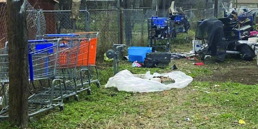 Shopping carts ‘an after-effect’ of homel